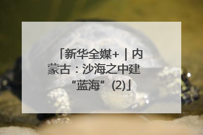 新华全媒+｜内蒙古：沙海之中建“蓝海”(2)