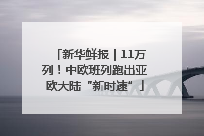新华鲜报｜11万列！中欧班列跑出亚欧大陆“新时速”