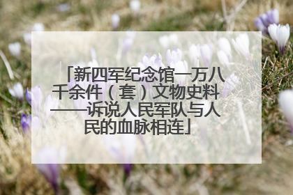 新四军纪念馆一万八千余件（套）文物史料——诉说人民军队与人民的血脉相连
