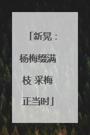 新晃：杨梅缀满枝 采梅正当时