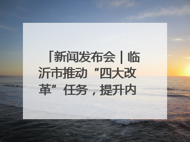 新闻发布会｜临沂市推动“四大改革”任务，提升内部审计监督效能