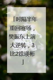时隔半年重回赛场，樊振东上演大逆转，3比2徐瑛彬
