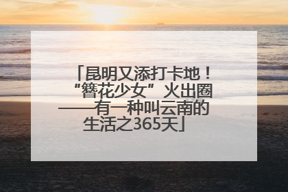 昆明又添打卡地！“簪花少女”火出圈——有一种叫云南的生活之365天