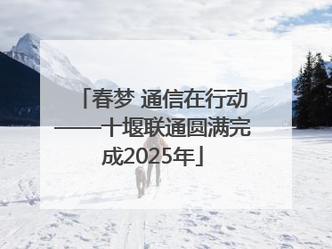 春梦 通信在行动——十堰联通圆满完成2025年