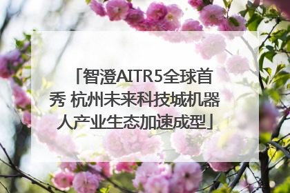 智澄AITR5全球首秀 杭州未来科技城机器人产业生态加速成型