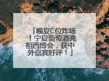 晚宴C位炸场！宁夏葡萄酒亮相西博会，获中外嘉宾好评！