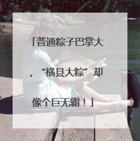 普通粽子巴掌大，“横县大粽”却像个巨无霸！
