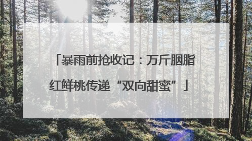 暴雨前抢收记：万斤胭脂红鲜桃传递“双向甜蜜”