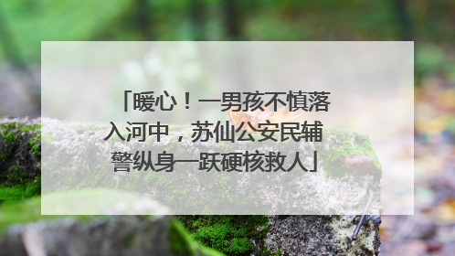 暖心！一男孩不慎落入河中，苏仙公安民辅警纵身一跃硬核救人