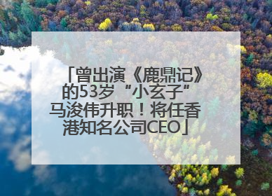 曾出演《鹿鼎记》的53岁“小玄子”马浚伟升职！将任香港知名公司CEO