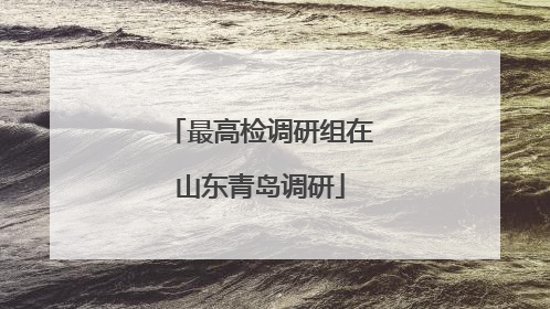 最高检调研组在山东青岛调研