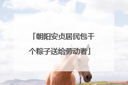 朝阳安贞居民包千个粽子送给劳动者