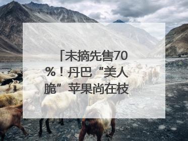 未摘先售70%！丹巴“美人脆”苹果尚在枝头就被预订｜长征路上看四川