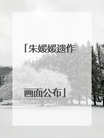 朱媛媛遗作画面公布