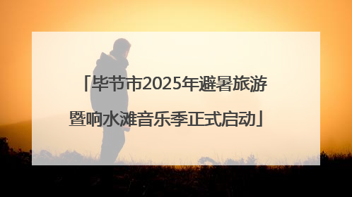毕节市2025年避暑旅游暨响水滩音乐季正式启动