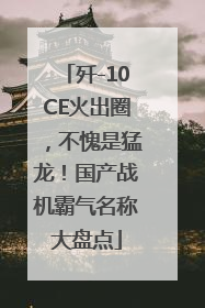 歼-10CE火出圈，不愧是猛龙！国产战机霸气名称大盘点