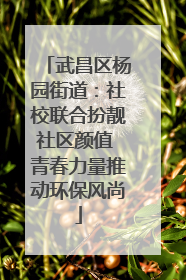 武昌区杨园街道：社校联合扮靓社区颜值 青春力量推动环保风尚