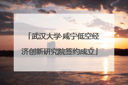 武汉大学·咸宁低空经济创新研究院签约成立