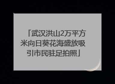 武汉洪山2万平方米向日葵花海盛放吸引市民驻足拍照