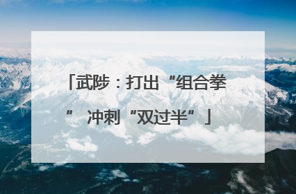 武陟：打出“组合拳” 冲刺“双过半”