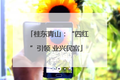 桂东青山：“四红”引领 业兴民富