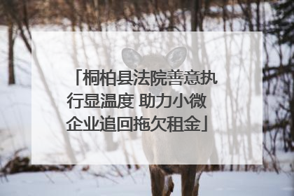 桐柏县法院善意执行显温度 助力小微企业追回拖欠租金