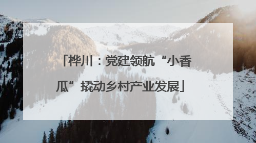 桦川：党建领航“小香瓜”撬动乡村产业发展