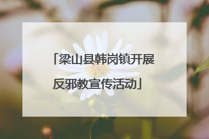 梁山县韩岗镇开展反邪教宣传活动