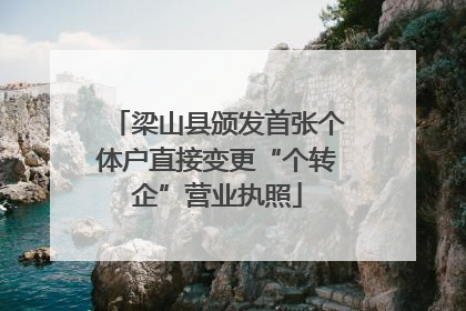 梁山县颁发首张个体户直接变更“个转企”营业执照
