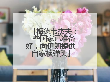 梅德韦杰夫：一些国家已准备好，向伊朗提供自家核弹头