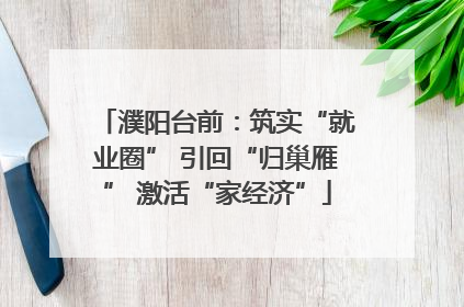 濮阳台前：筑实“就业圈” 引回“归巢雁” 激活“家经济”