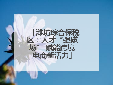 潍坊综合保税区：人才“强磁场” 赋能跨境电商新活力