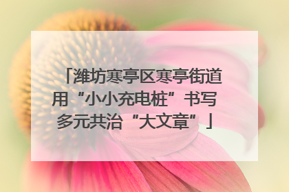 潍坊寒亭区寒亭街道用“小小充电桩”书写多元共治“大文章”