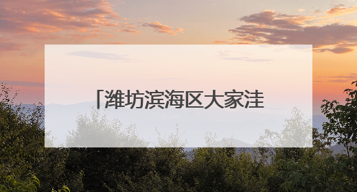 潍坊滨海区大家洼街道开展困难群众救助政策联合宣传