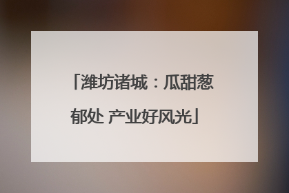 潍坊诸城：瓜甜葱郁处 产业好风光