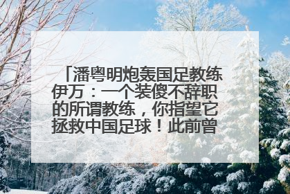 潘粤明炮轰国足教练伊万：一个装傻不辞职的所谓教练，你指望它拯救中国足球！此前曾多次发文评价国足
