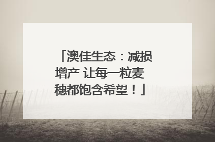 澳佳生态：减损增产 让每一粒麦穗都饱含希望！