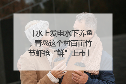 水上发电水下养鱼，青岛这个村百亩竹节虾抢“鲜”上市