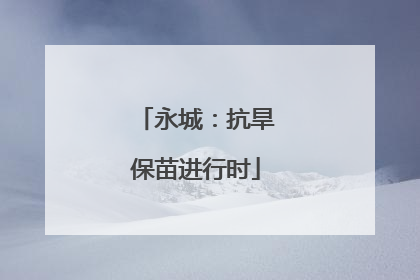 永城：抗旱保苗进行时