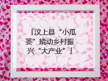 汶上县“小瓜蒌”撬动乡村振兴“大产业”