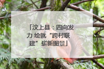 汶上县：四向发力 绘就“跨村联建”崭新图景