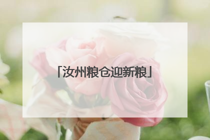 汝州粮仓迎新粮