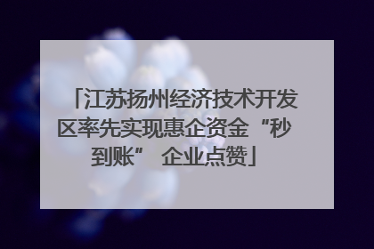 江苏扬州经济技术开发区率先实现惠企资金“秒到账” 企业点赞