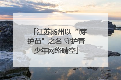 江苏扬州以“i芽护苗”之名 守护青少年网络晴空