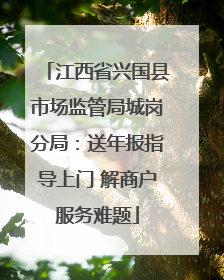 江西省兴国县市场监管局城岗分局：送年报指导上门 解商户服务难题