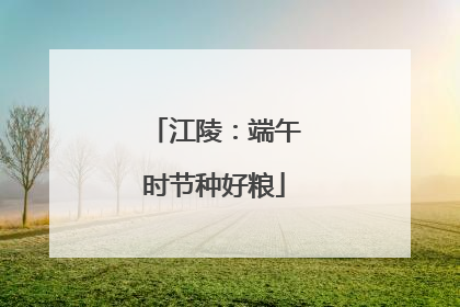 江陵：端午时节种好粮