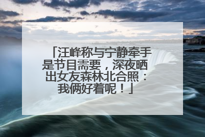 汪峰称与宁静牵手是节目需要，深夜晒出女友森林北合照：我俩好着呢！