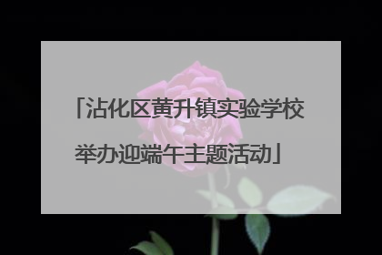 沾化区黄升镇实验学校举办迎端午主题活动
