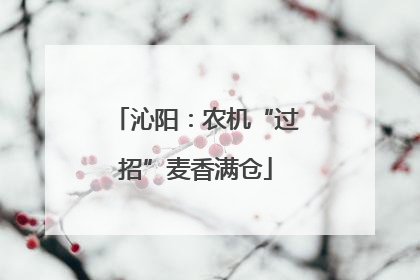 沁阳：农机“过招”麦香满仓