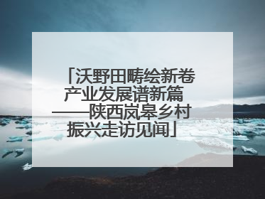 沃野田畴绘新卷 产业发展谱新篇——陕西岚皋乡村振兴走访见闻